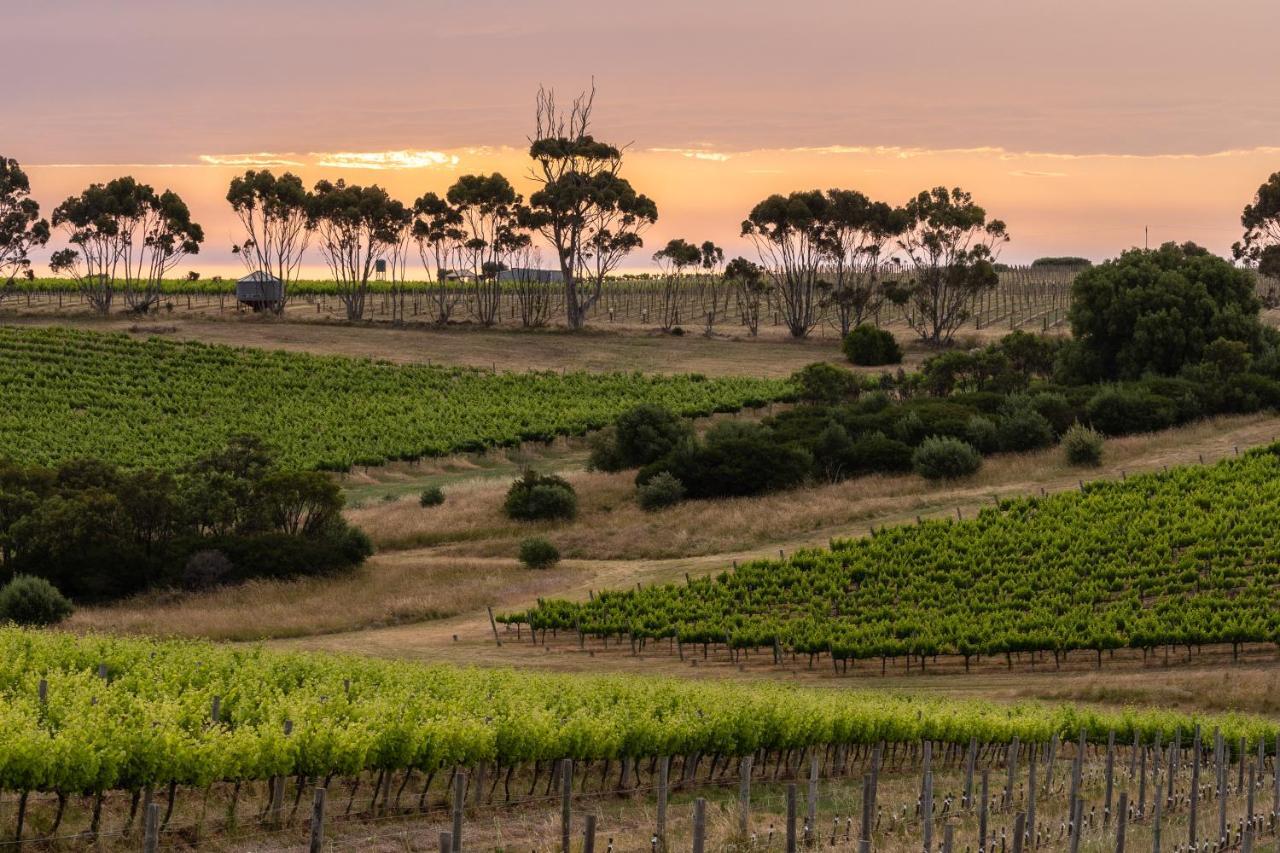 Hotel California Road At Inkwell Wines Mclaren Vale Zewnętrze zdjęcie