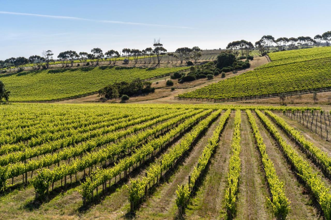 Hotel California Road At Inkwell Wines Mclaren Vale Zewnętrze zdjęcie
